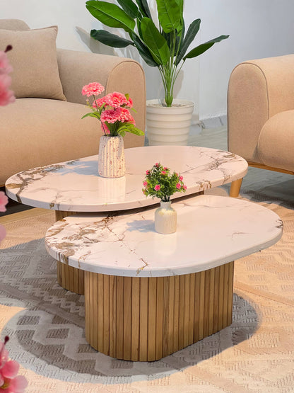 table basse 2 piece