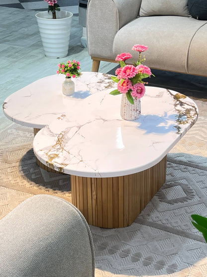 table basse 2 piece
